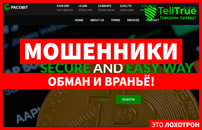 PACOBIT (pacobit.com) биржа от мошенников, где можно потерять крупные суммы!
