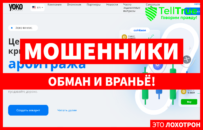 Yoko (yoko.limited): обзор и отзывы