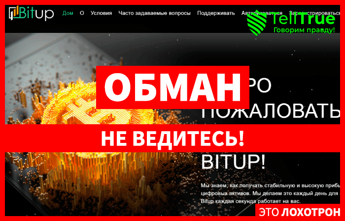 Bitup (bitup.biz): обзор и отзывы