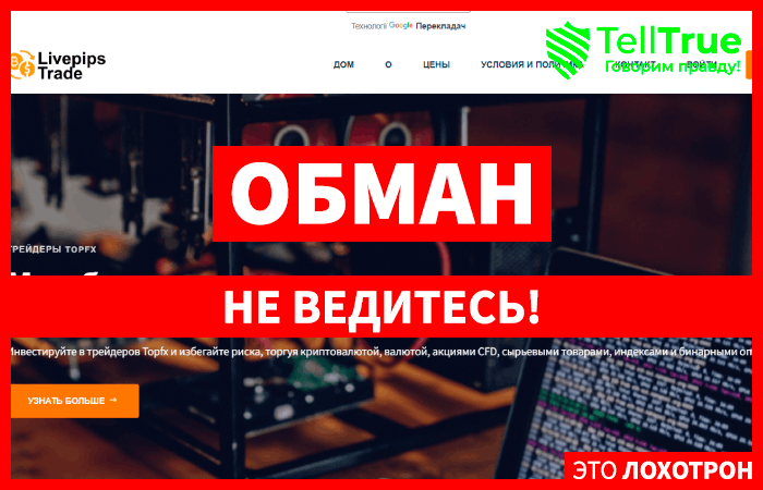 Livepips Trade (livepipstrade.com) лжеброкер! Отзыв Telltrue