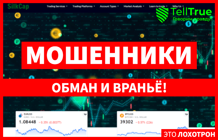 Silk Cap (silkcap.net, webtrader.silkcap.net): обзор и отзывы